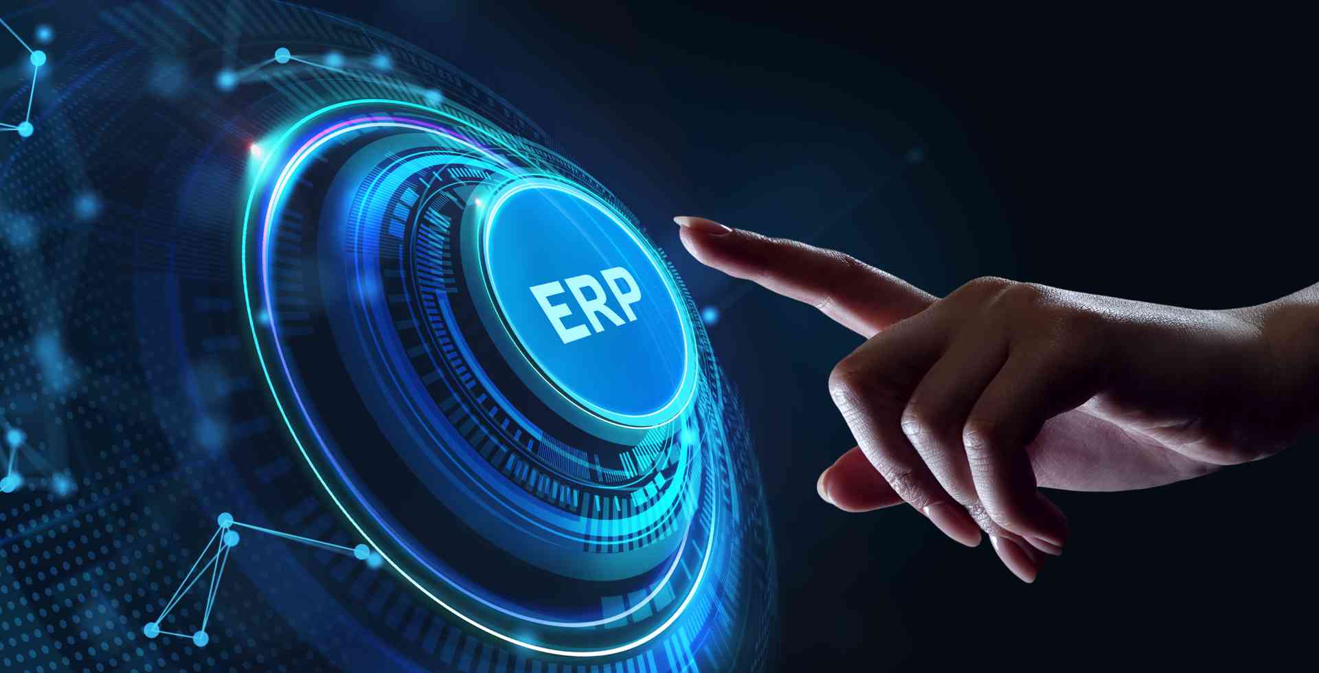 ERP Selection & Implementation